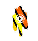 Premuim Videos